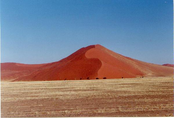 Namibia Düne 45
